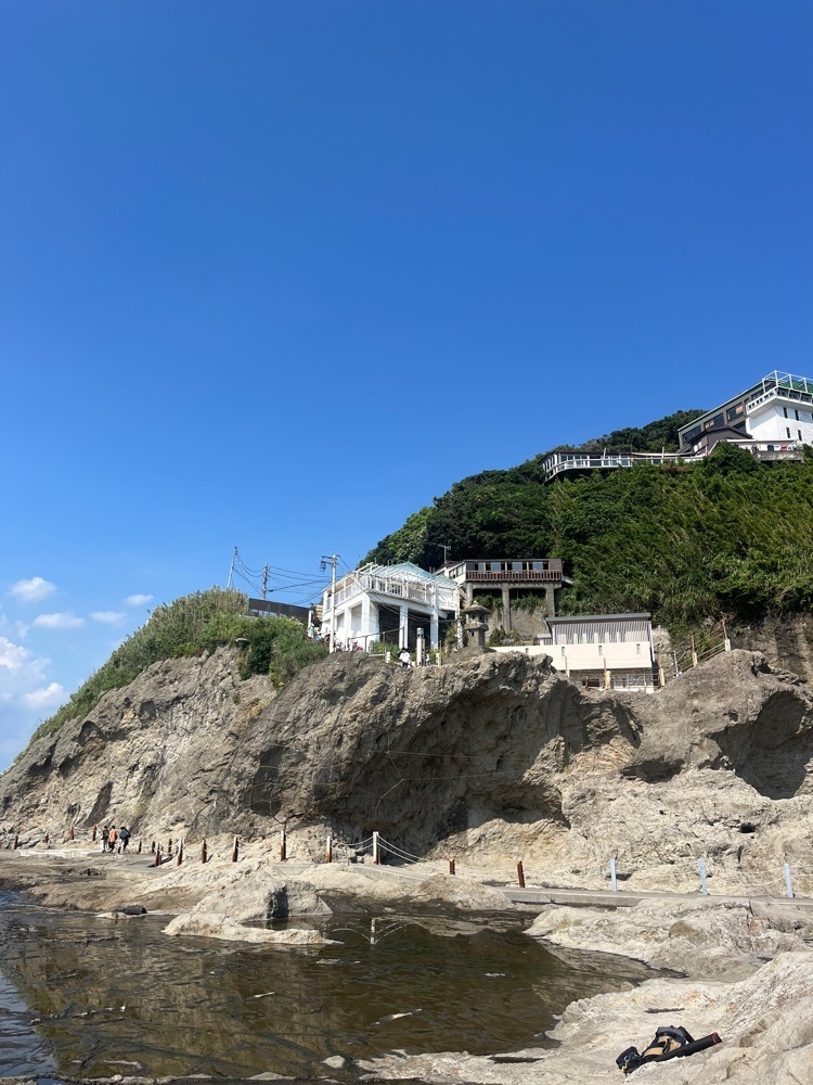 Renさんが投稿した江ノ島おさかなセンターに関する口コミの画像