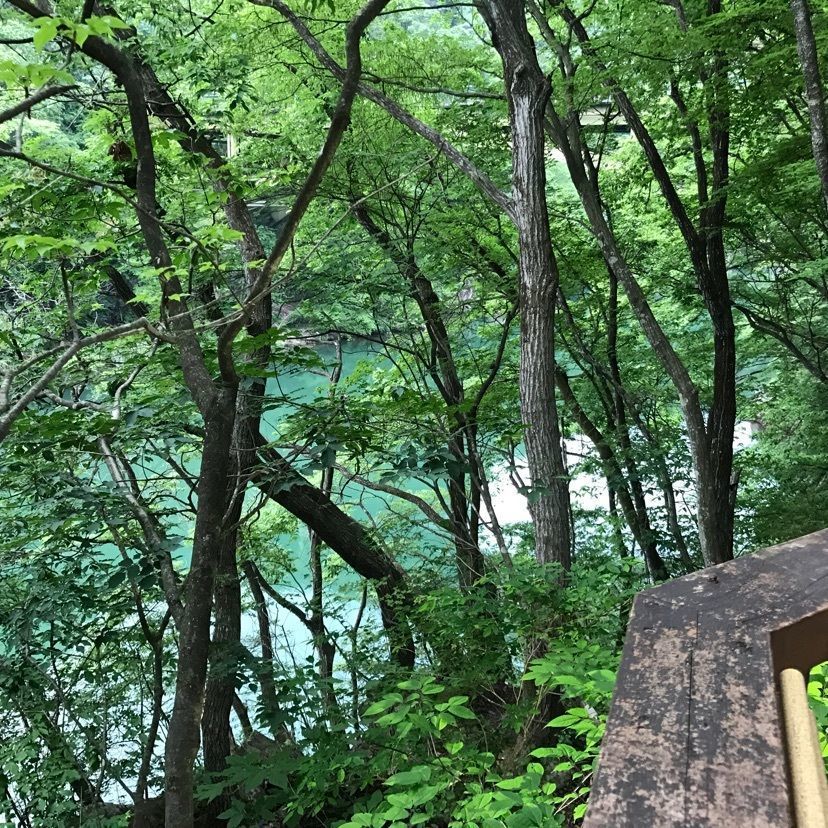 cool_village_20d2さんが投稿した自然浴 離れの湯 あけびに関する口コミの画像
