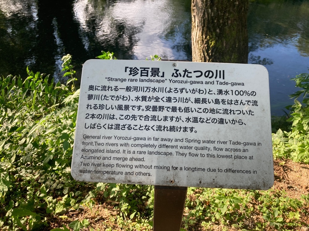 ふみさんが投稿した大王わさび農場 第１売店に関する口コミの画像
