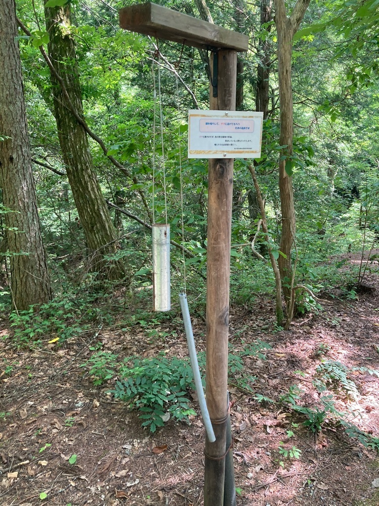 ふみさんが投稿した烏川渓谷の紅葉に関する口コミの画像