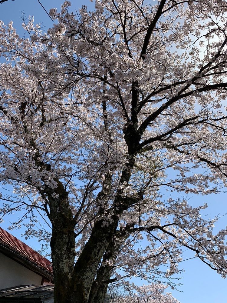 影の戦闘隊さんが投稿した若桜駅に関する口コミの画像