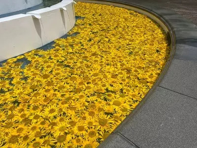 山茶花高原ハーブ園