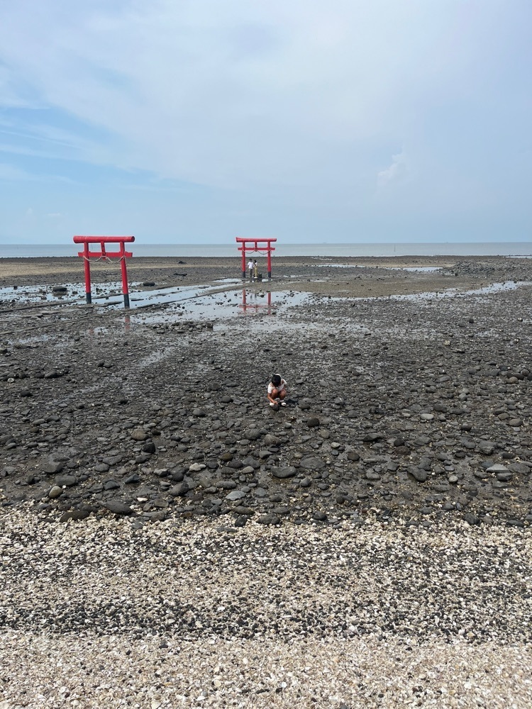 ponponao②さんが投稿した山茶花高原ハーブ園に関する口コミの画像