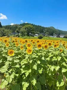 道の駅 一向一揆の里