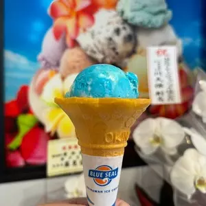 ブルーシール 東岡崎駅店（BLUESEAL）