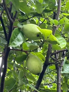 風越公園屋外テニスコート