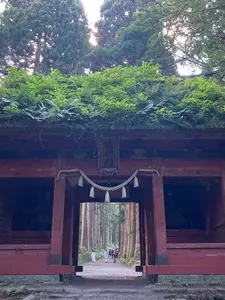 戸隠神社　九頭龍社