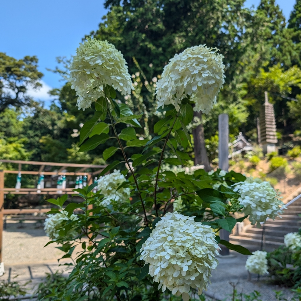 ぬっくさんが投稿した多田寺に関する口コミの画像