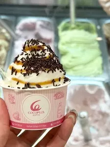 ココプラス