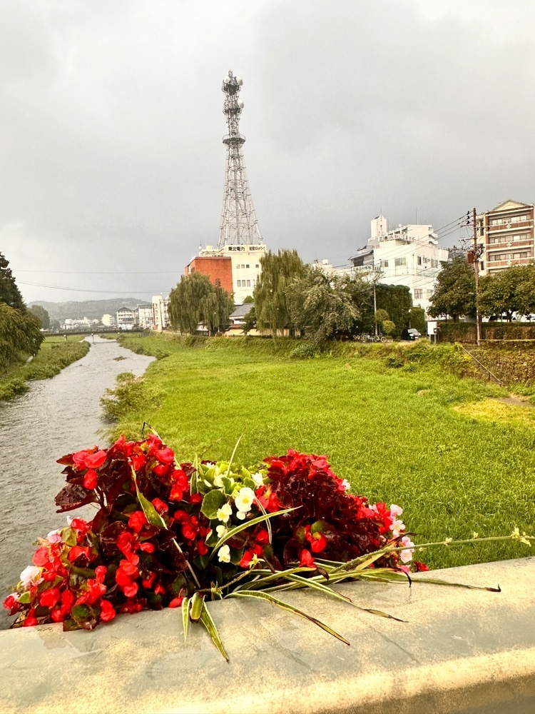 かめ_メグミさんが投稿したふかくさに関する口コミの画像