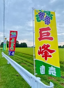 芳賀温泉ロマンの湯