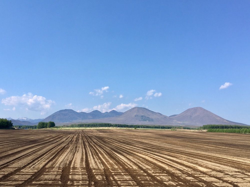 yoshiさんが投稿した鹿追町に関する口コミの画像