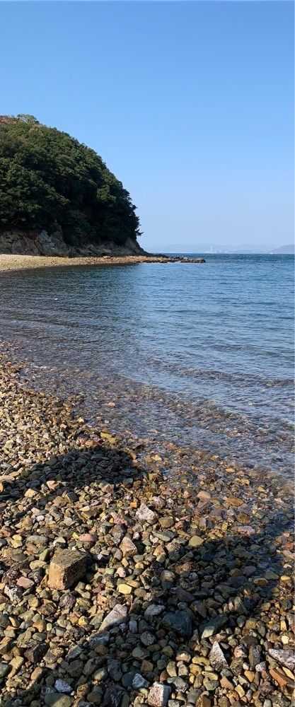 影の戦闘隊さんが投稿した姫路市家島Ｂ＆Ｇ海洋センターに関する口コミの画像