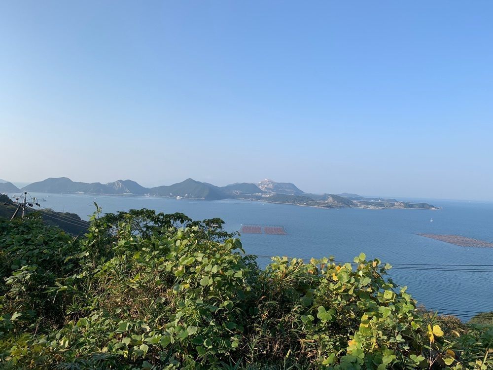 影の戦闘隊さんが投稿した姫路市家島Ｂ＆Ｇ海洋センターに関する口コミの画像