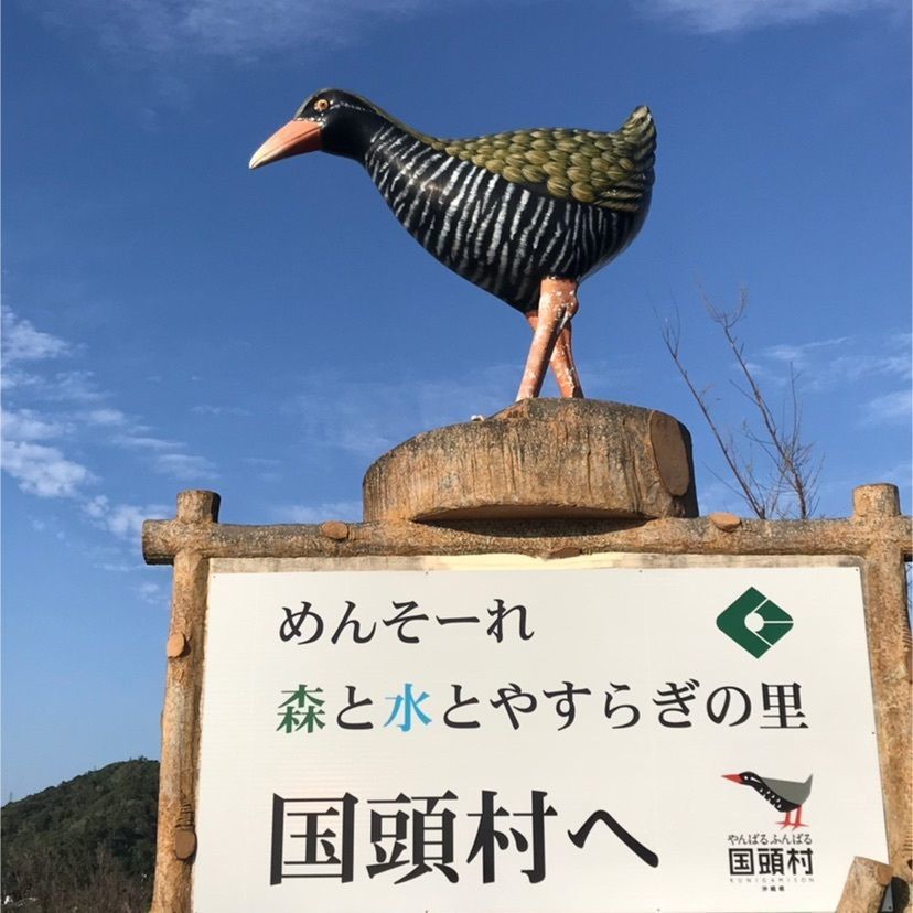 𓇼のんたん𓇼さんが投稿した国頭村に関する口コミの画像