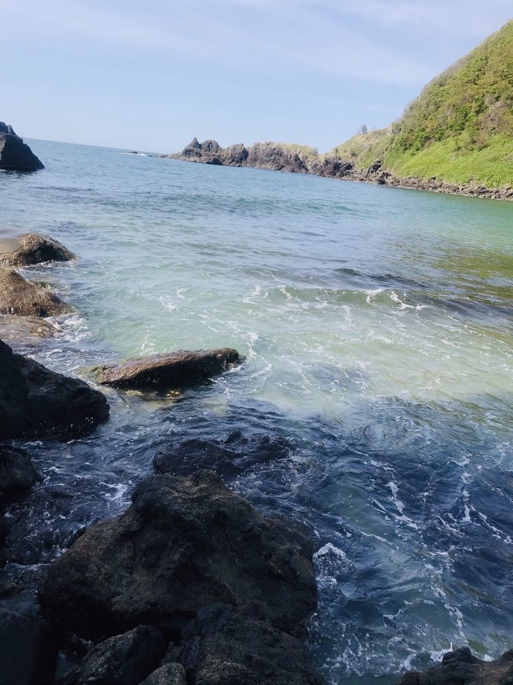 猫なぎ。さんが投稿した三瀬海水浴場に関する口コミの画像