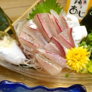 沼津港 あした葉 踊りあじ専門店 3枚目