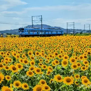 関西ハム