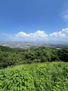 油山