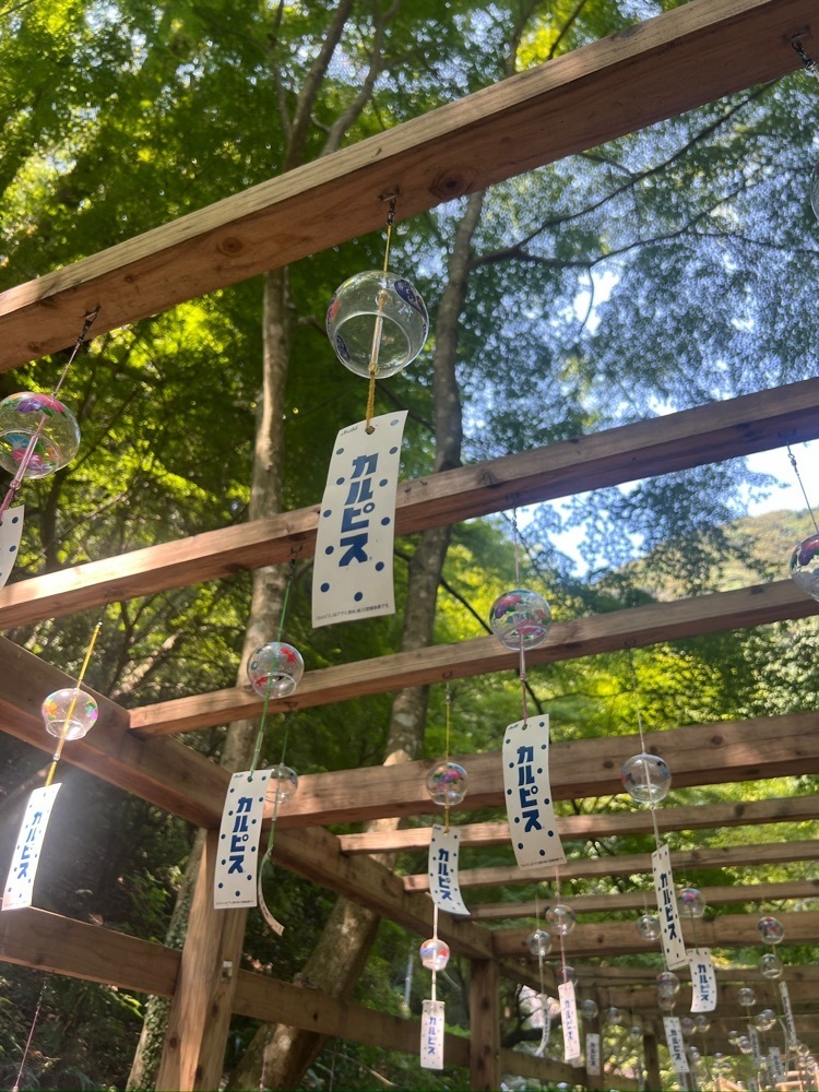 r_Rhapsodyさんが投稿した清水の滝に関する口コミの画像