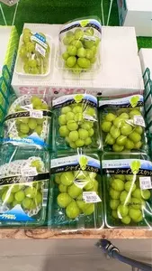 道の駅 童謡のふる里おおとね