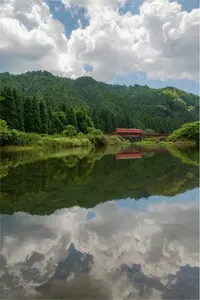 播但