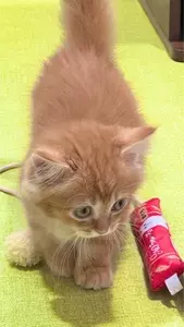 イオンモール 羽生