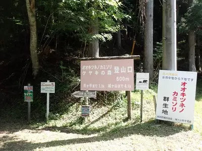 面ノ木園地