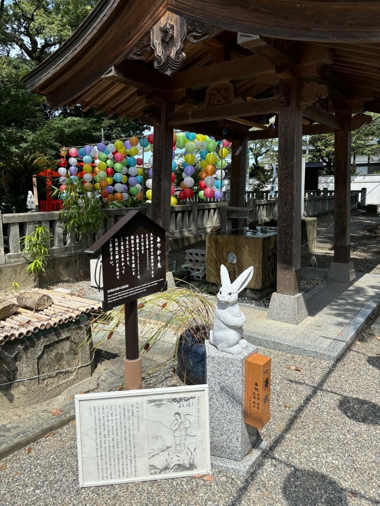たまさんが投稿したとりとたい 鳴門店に関する口コミの画像