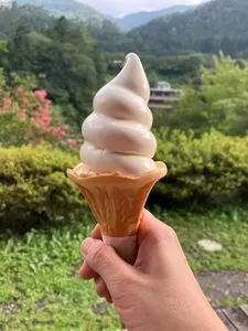 道の駅 たばやま