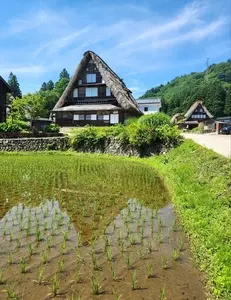 相倉合掌造り集落
