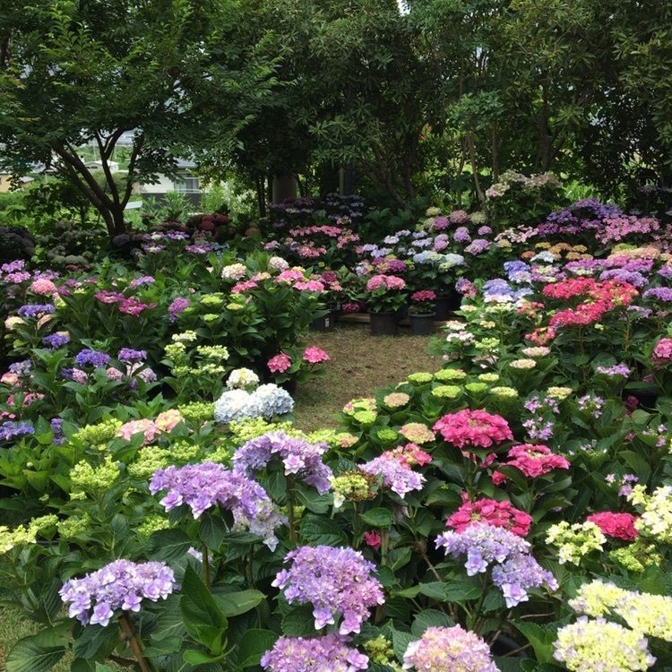 じゅんさんが投稿した達人村喫茶山ぼうしに関する口コミの画像