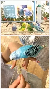 OSC湘南シティ