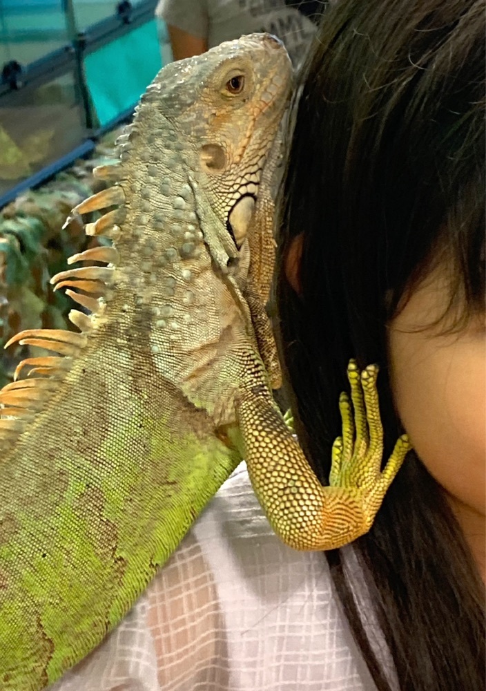delicious_museum_7212さんが投稿したOSC湘南シティに関する口コミの画像