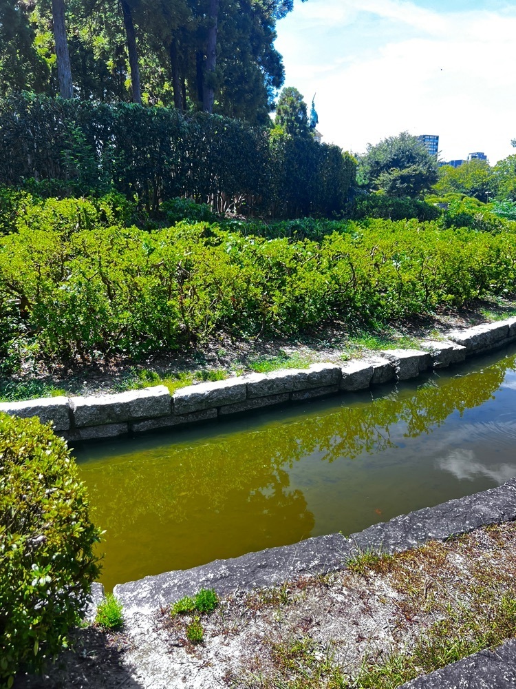 r_Rhapsodyさんが投稿した東公園（福岡県福岡市）に関する口コミの画像