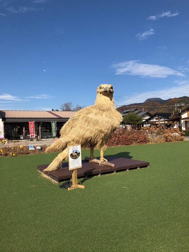 からっ風②さんが投稿した道の駅 たくみの里 豊楽館に関する口コミの画像