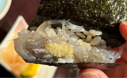 鮓処 ひろ志