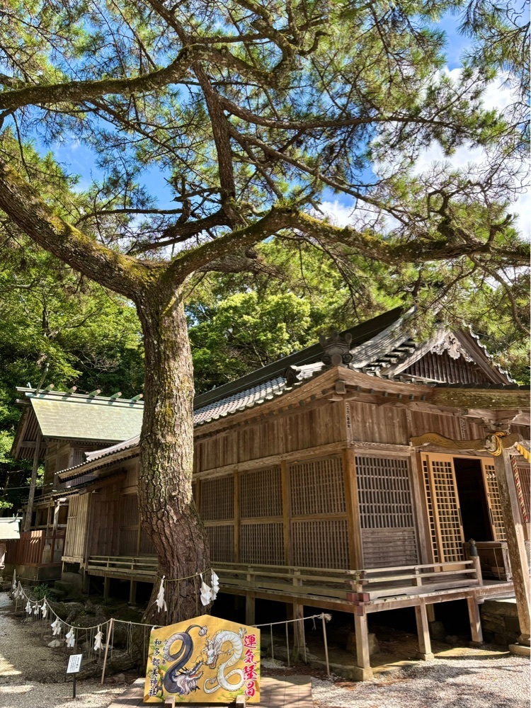 luckyさんが投稿した和多都美神社に関する口コミの画像