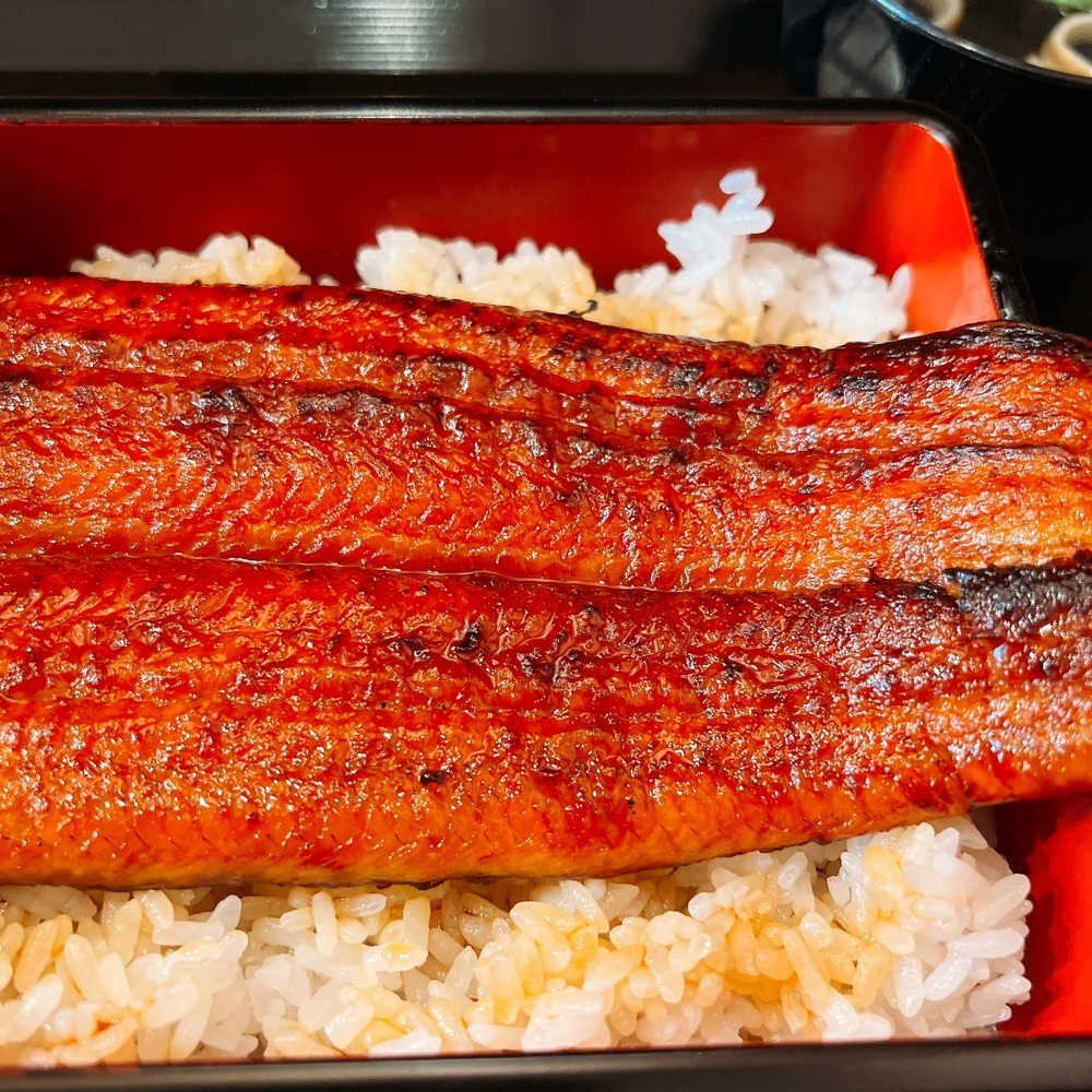 ヤジメシ　ボリューム満点東京グルメさんが投稿した鰻の成瀬 井荻店に関する口コミの画像