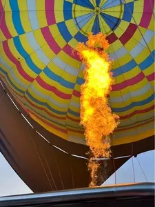 白馬ライオンアドベンチャー