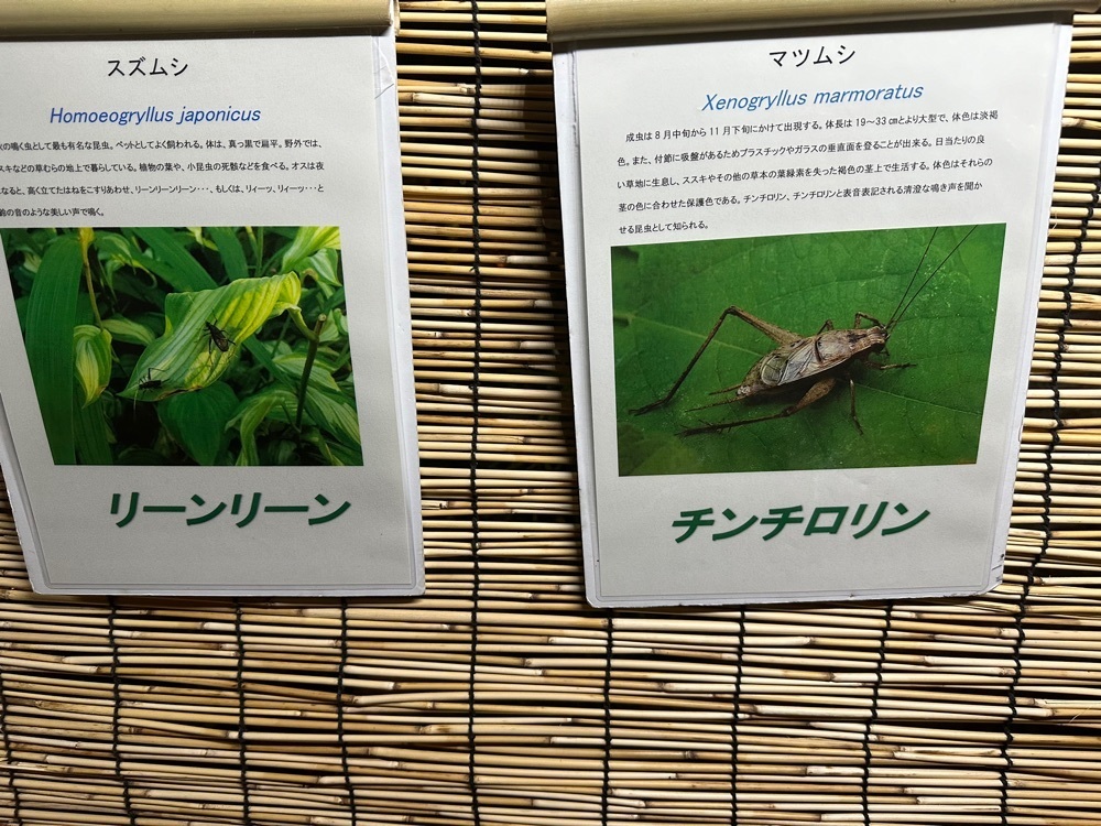jamesさんが投稿した向島百花園の萩のトンネルに関する口コミの画像