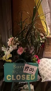 ココノラ