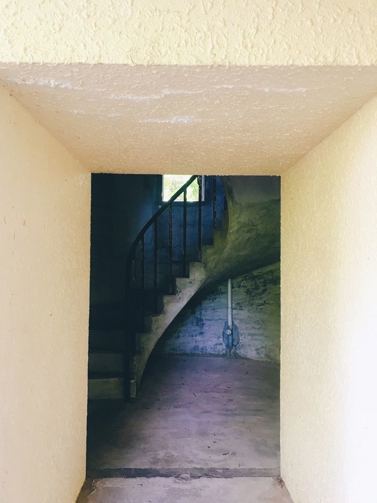 猫なぎ。さんが投稿した高館山展望台に関する口コミの画像