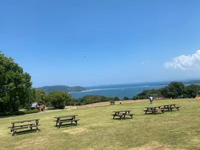 アイランドパークのコスモス