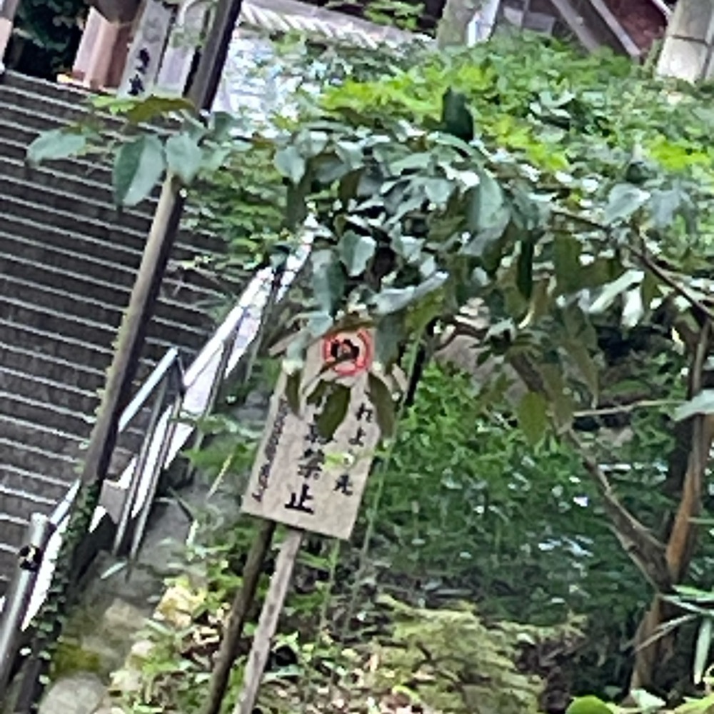Danjouさんが投稿した真名井神社に関する口コミの画像