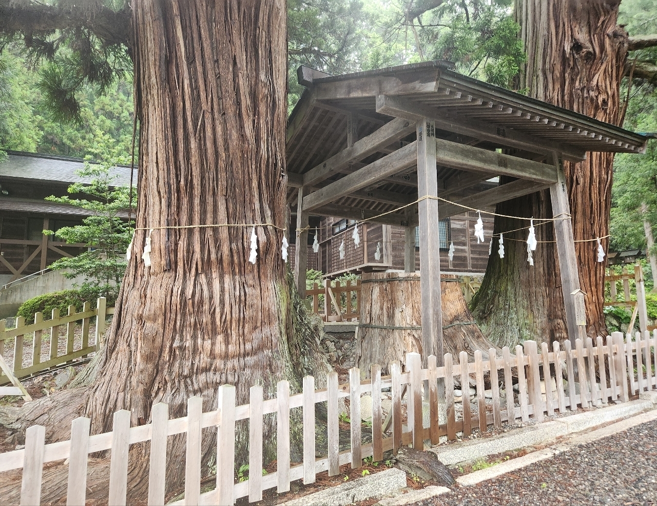kohchanさんが投稿した仁科神明宮社殿に関する口コミの画像