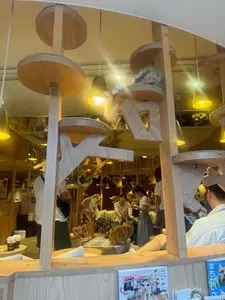 猫カフェMOCHA 池袋西口店