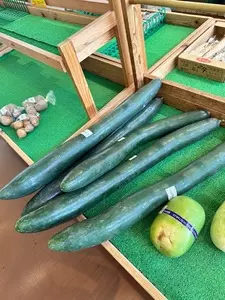 農産物直売所 ぽんぽこ