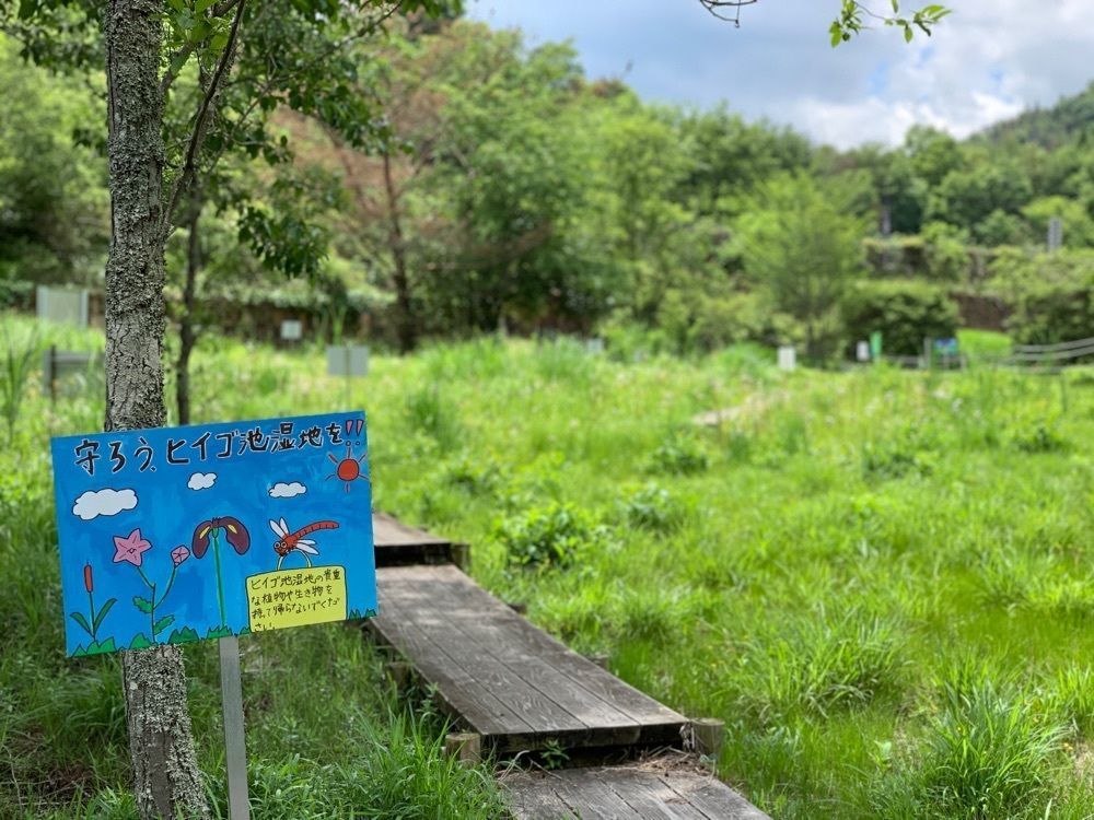 nyoryさんが投稿したヒイゴ池湿地に関する口コミの画像