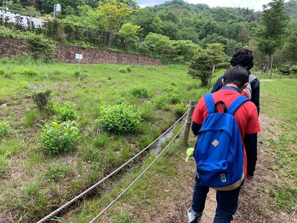nyoryさんが投稿したヒイゴ池湿地に関する口コミの画像